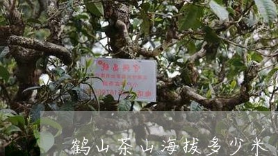 鹤山茶山海拔多少米/2023032092813