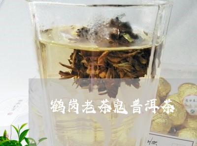 鹤岗老茶鬼普洱茶/2023031646482