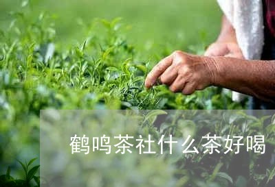 鹤鸣茶社什么茶好喝/2023041527572