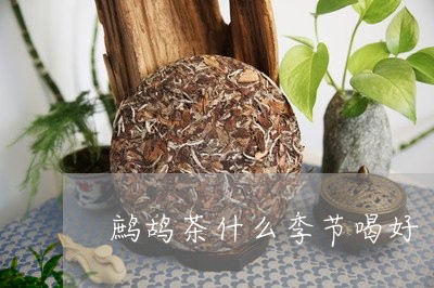 鹧鸪茶什么季节喝好/2023031854857