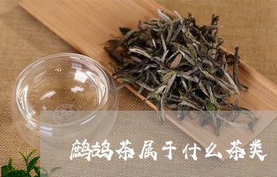 鹧鸪茶属于什么茶类/2023041740591