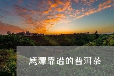 鹰潭靠谱的普洱茶/2023040129603