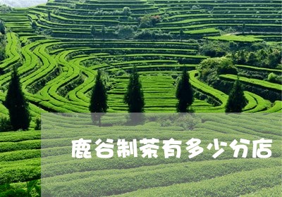 鹿谷制茶有多少分店/2023031972834