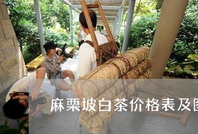 麻栗坡白茶价格表及图片/2023033019269