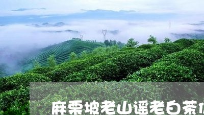 麻栗坡老山谣老白茶价格/2023033031492