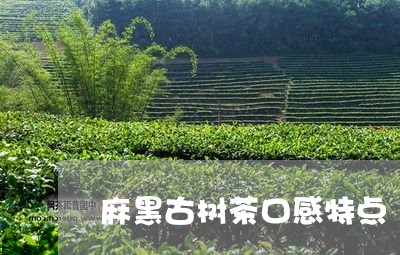 麻黑古树茶口感特点/2023032261426