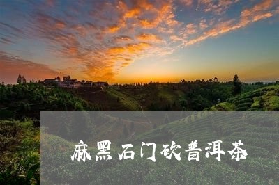 麻黑石门砍普洱茶/2023031712706