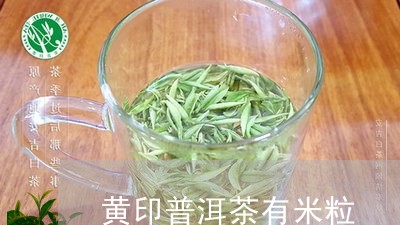 黄印普洱茶有米粒/2023032487470