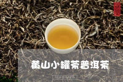 黄山小罐茶普洱茶/2023031675168