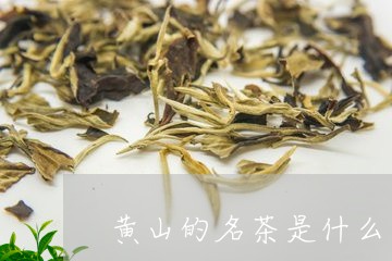 黄山的名茶是什么/2023032420502