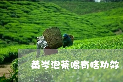 黄岑泡茶喝有啥功效/2023041611047