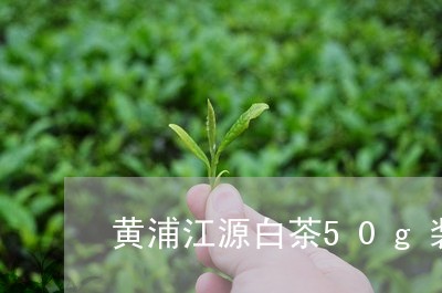 黄浦江源白茶50g装价格/2023033117151