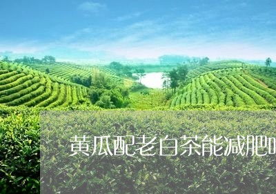 黄瓜配老白茶能减肥吗吗/2023033030703