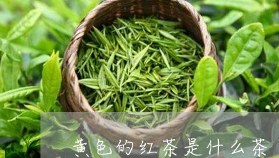 黄色的红茶是什么茶/2023041652946