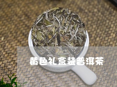 黄色礼盒装普洱茶/2023041326049