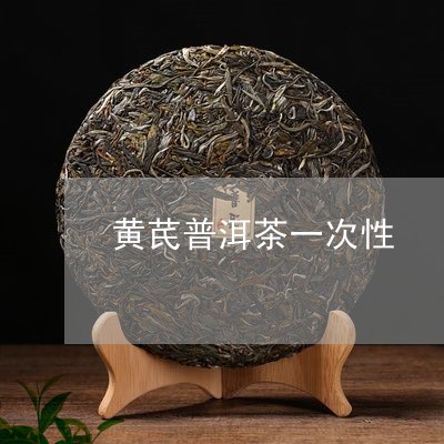 黄芪普洱茶一次性/2023033047258