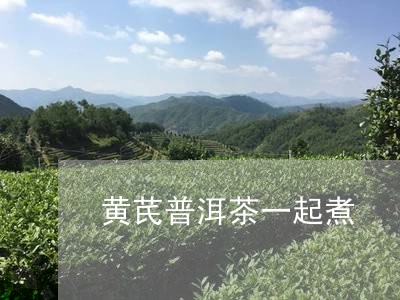 黄芪普洱茶一起煮/2023033126049