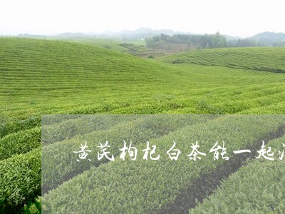 黄芪枸杞白茶能一起泡吗/2023033080624