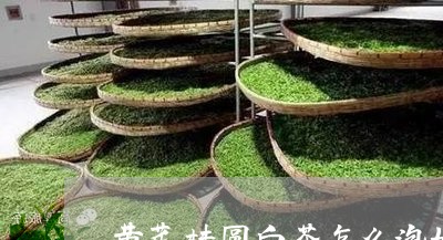 黄芪桂圆白茶怎么泡好喝/2023033041683