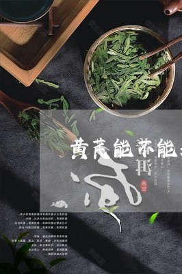 黄芪能不能和白茶一起喝/2023033045148