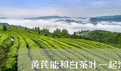 黄芪能和白茶叶一起泡吗/2023033069471