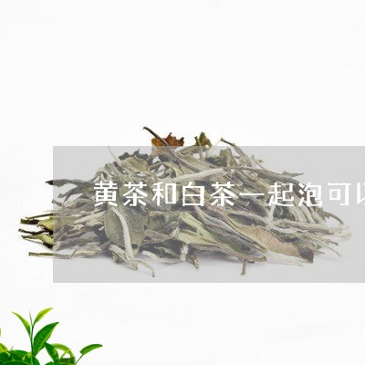 黄茶和白茶一起泡可以吗/2023033050704