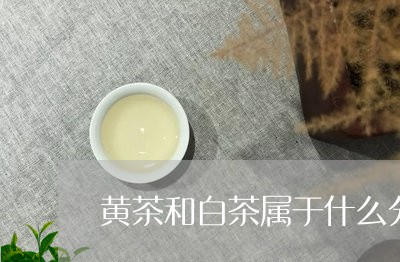 黄茶和白茶属于什么分类/2023033059395