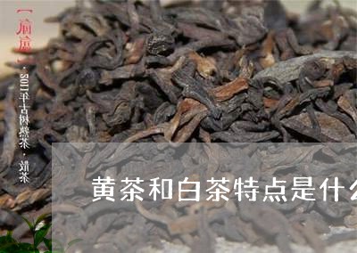 黄茶和白茶特点是什么呢/2023033058591