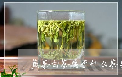 黄茶白茶属于什么茶类啊/2023033068372