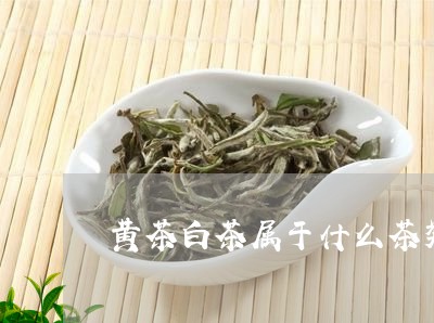 黄茶白茶属于什么茶类的/2023033064937