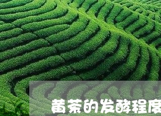 黄茶的发酵程度低于白茶/2023033045037