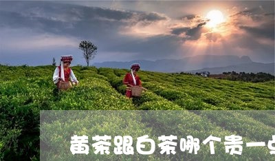 黄茶跟白茶哪个贵一点呢/2023033042153