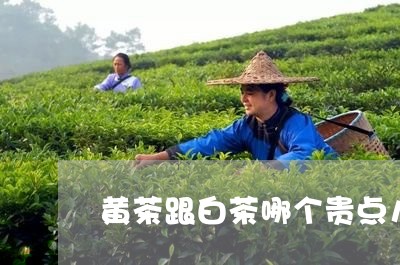 黄茶跟白茶哪个贵点儿好/2023033004148