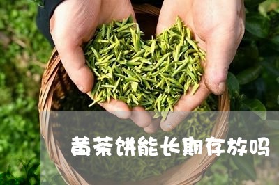 黄茶饼能长期存放吗/2023041681825