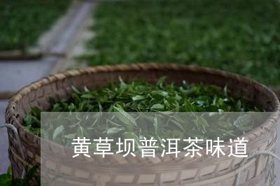 黄草坝普洱茶味道/2023031896079