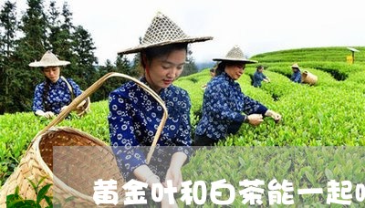 黄金叶和白茶能一起喝吗/2023033032582