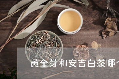 黄金芽和安吉白茶哪个贵/2023033031484