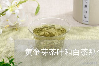 黄金芽茶叶和白茶那个好/2023033027281