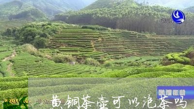 黄铜茶壶可以泡茶吗/2023032008572