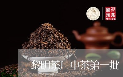 黎明茶厂中茶第一批/2023041719594