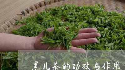 黑儿茶的功效与作用/2023041745369