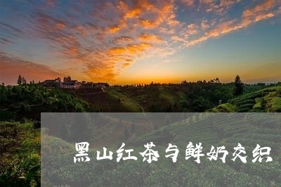 黑山红茶与鲜奶交织/2023031940815