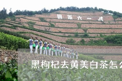 黑枸杞去黄美白茶怎么泡/2023033044915