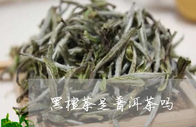 黑檀茶是普洱茶吗/2023041142614