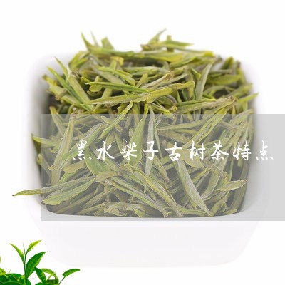 黑水梁子古树茶特点/2023032238151