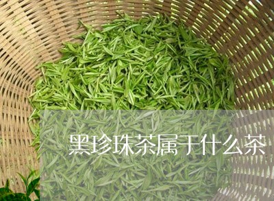 黑珍珠茶属于什么茶/2023041683248