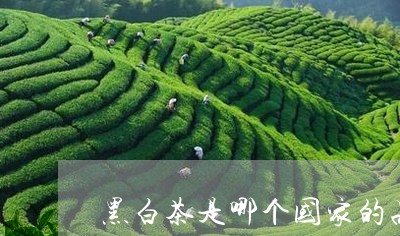 黑白茶是哪个国家的品牌/2023033003727