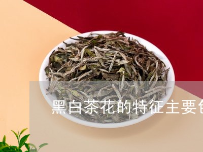 黑白茶花的特征主要包括/2023033052794