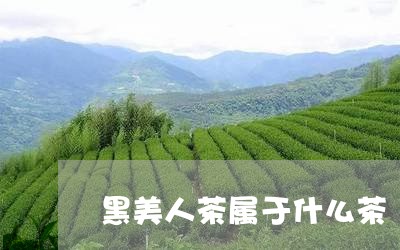 黑美人茶属于什么茶/2023031962925