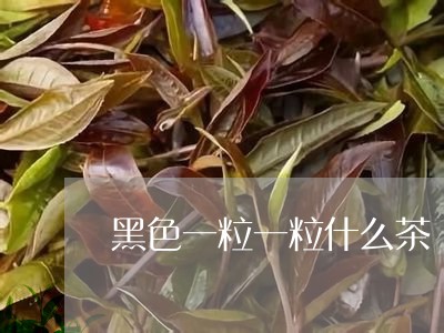 黑色一粒一粒什么茶/2023041513716